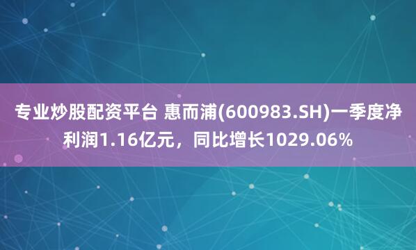 专业炒股配资平台 惠而浦(600983.SH)一季度净利润1.16亿元，同比增长1029.06%